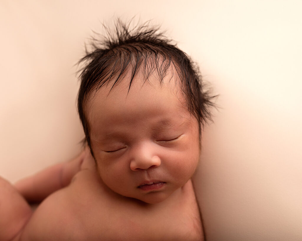 Newborn Photographer Bentley