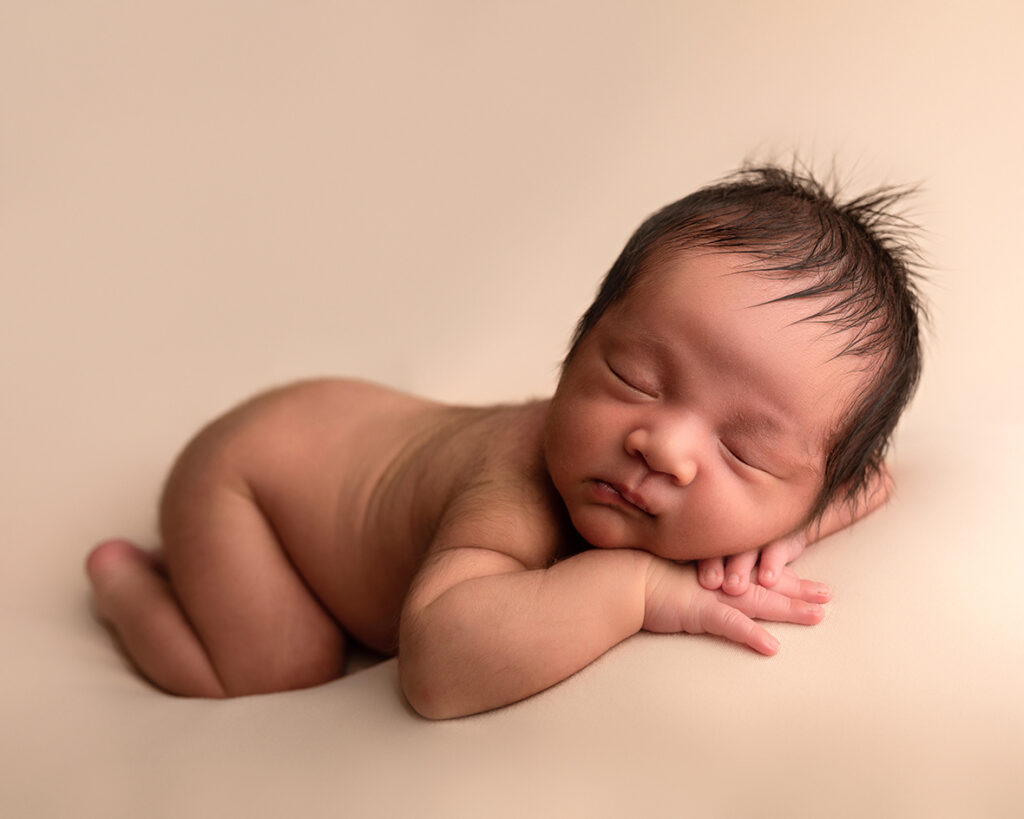 Newborn Photographer Bentley